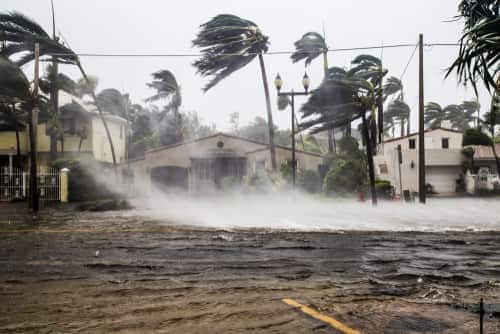 Best hurricane insurance in 2024