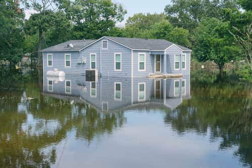 Best flood insurance companies in 2024