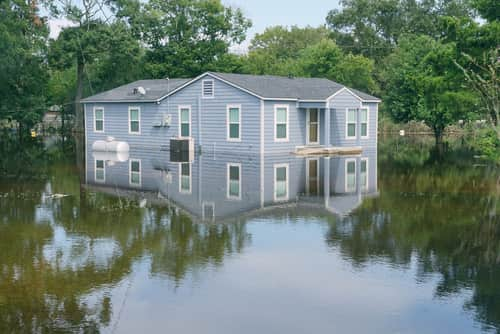 Best flood insurance companies in 2024