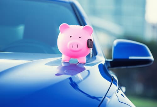 Complete guide to insurance for new dog owners