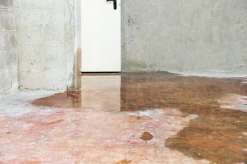 What is water backup coverage?